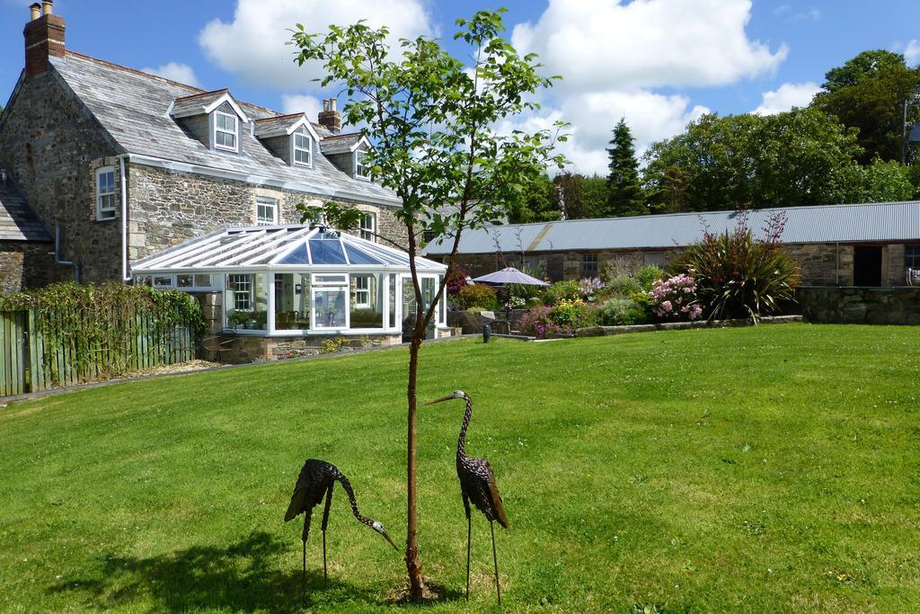 Treveighan Farmhouse Saint Teath Exteriör bild